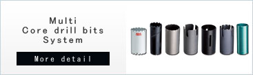 Multi Core drill bits systems